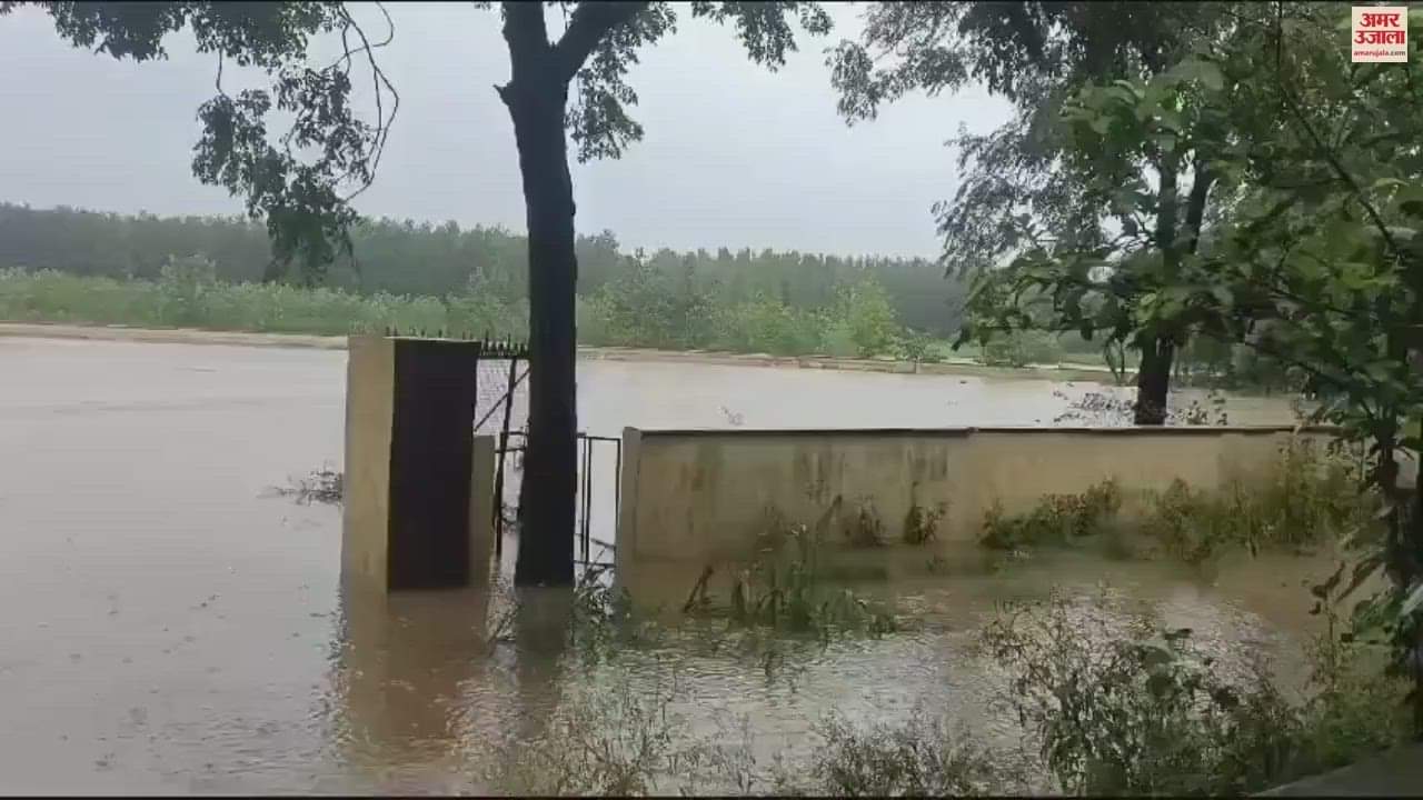 VIDEO : 13 schools in Ropar's Block Sri Anandpur Sahib have been closed due to rain
