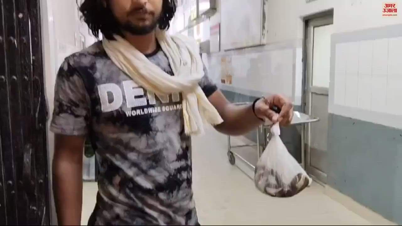 VIDEO : snake attack young man in Chandauli after killing taken the hospital