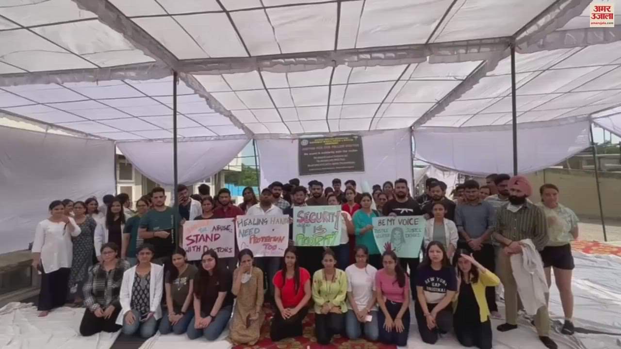 VIDEO : Strike Of Resident Doctors At Chandigarh PGI Continued