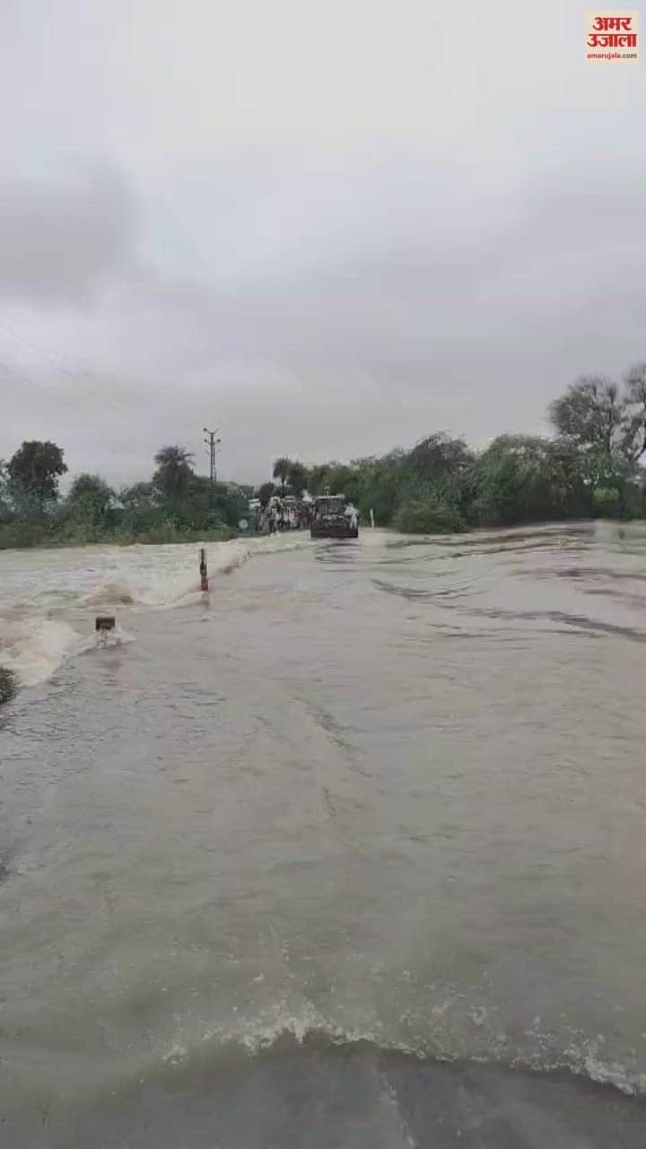 TONK: HAVI RAIN IN PEEPLU