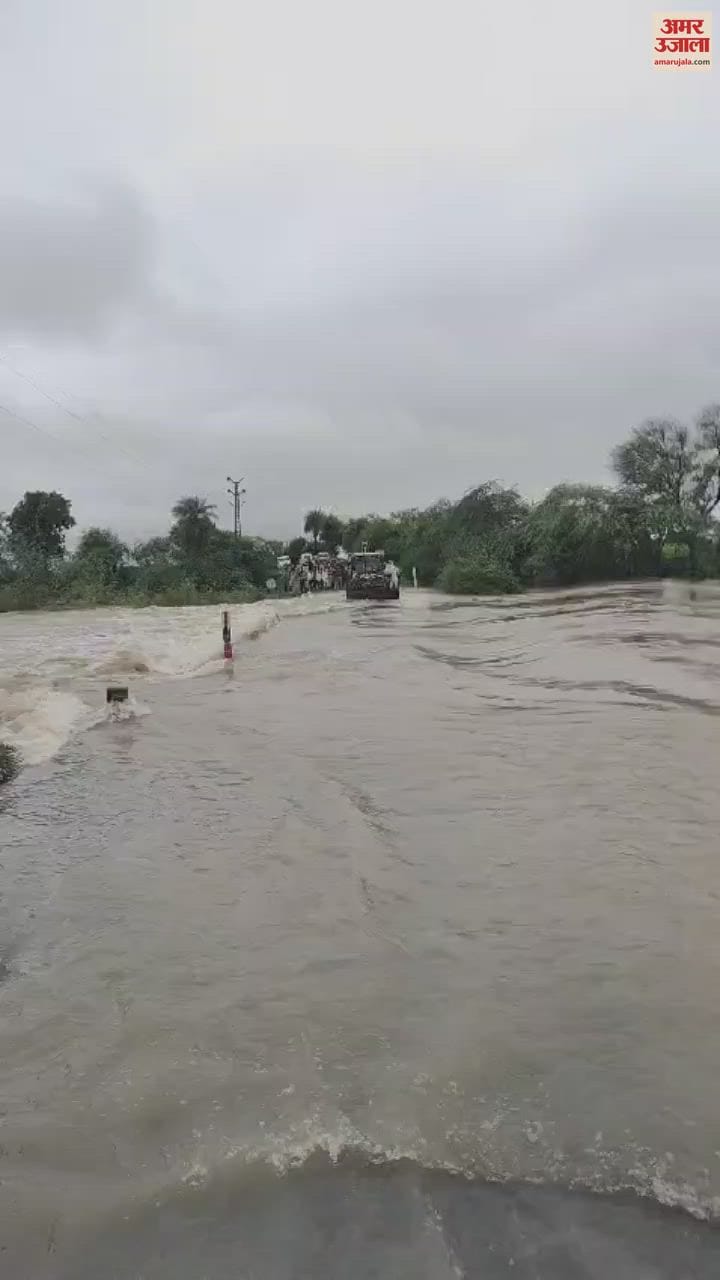 TONK: HAVI RAIN IN PEEPLU