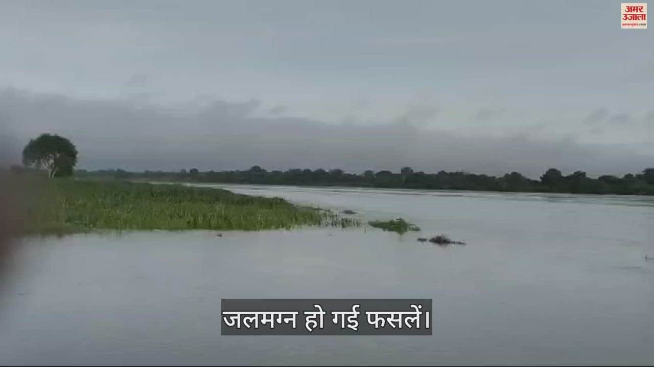 VIDEO : यमुना में लगातार बढ़ रहा जलस्तर, जलमग्न हुई फसलें
