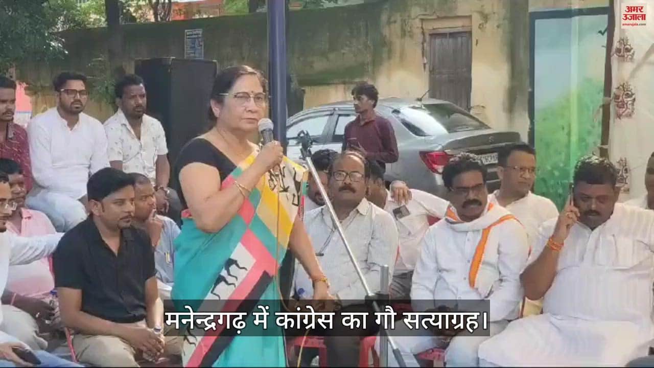 VIDEO : कांग्रेस ने जिला मुख्यालय मनेन्द्रगढ़ में जिला स्तरीय गौ सत्याग्रह किया
