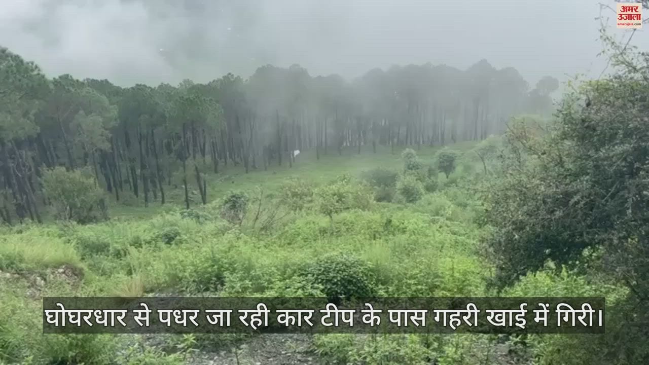 VIDEO : car fell into a deep ditch near Teep in mandi