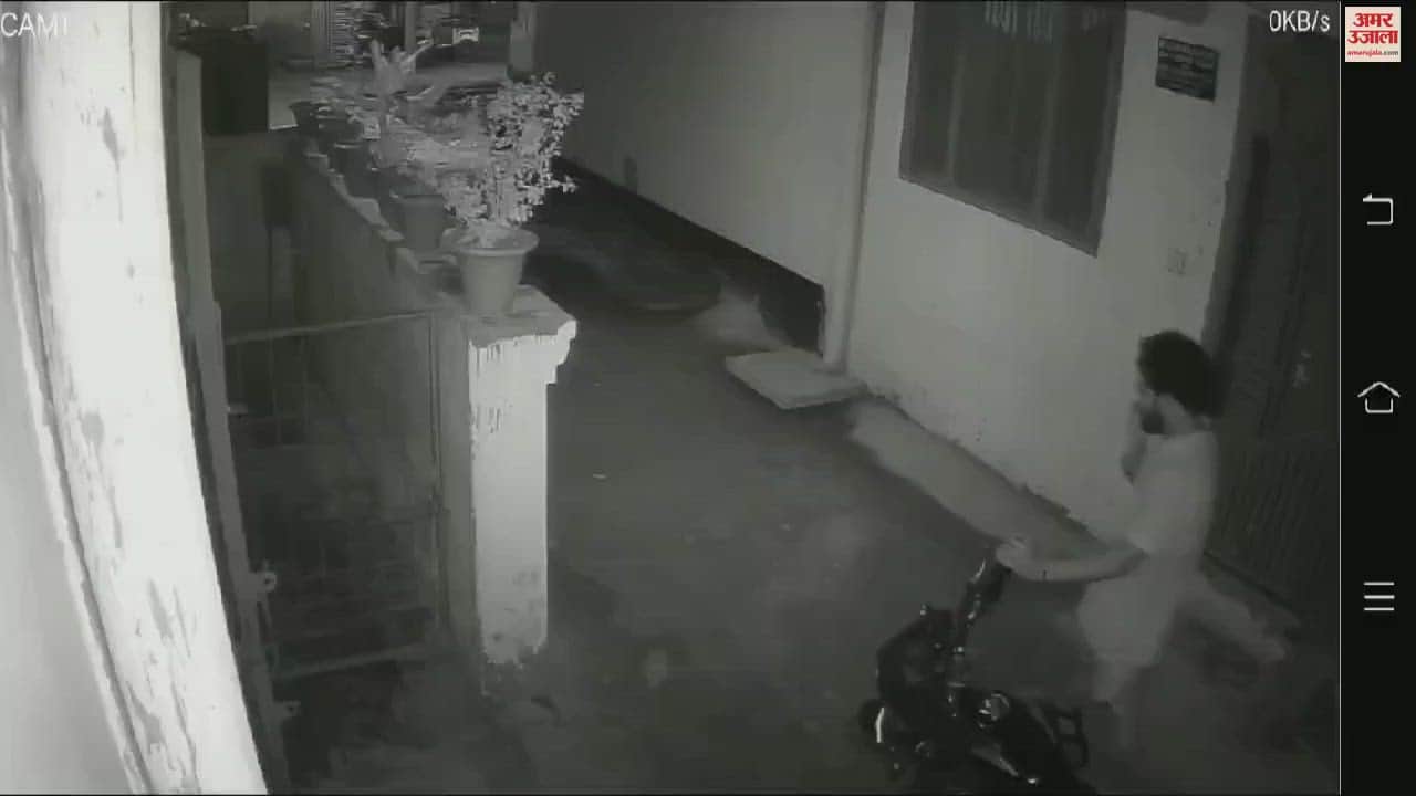 VIDEO : आवास विकास कॉलोनी में कुत्ते ने 12 से ज्यादा लोगों को काटा, कर्फ्यू जैसा माहौल