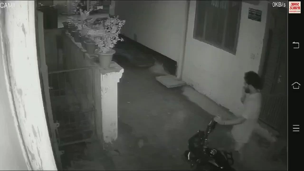 VIDEO : आवास विकास कॉलोनी में कुत्ते ने 12 से ज्यादा लोगों को काटा, कर्फ्यू जैसा माहौल