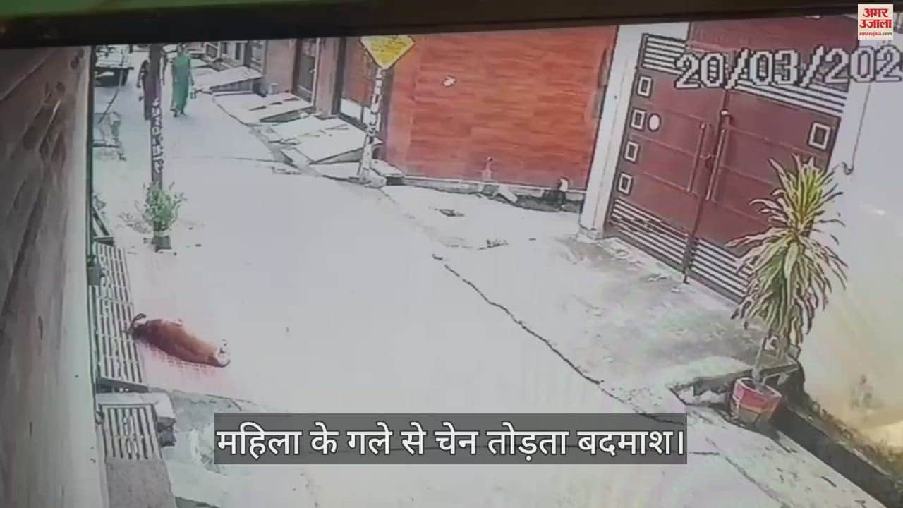 VIDEO : मॉर्निंग वाक से लौटी महिला से चेन लूटी, घटना सीसीटीवी में कैद, देखें वीडियो