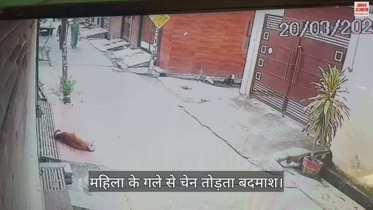 VIDEO : मॉर्निंग वाक से लौटी महिला से चेन लूटी, घटना सीसीटीवी में कैद, देखें वीडियो