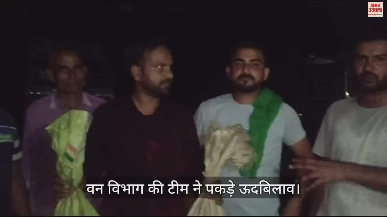 VIDEO : Bijnor: एक घर से आई ऊदबिलाव के रोने की भयानक आवाज, वन विभाग ने छह पकड़े, एक भाग निकला