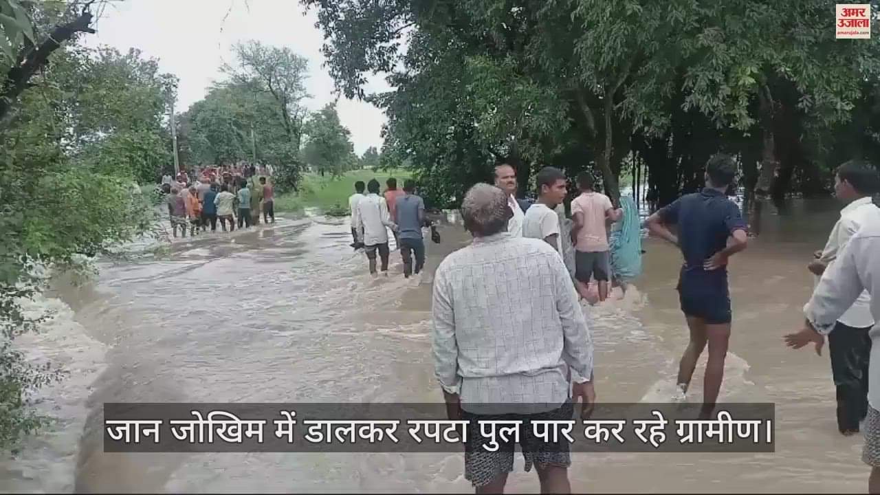 VIDEO : Villagers crossing slippery bridge amidst strong flow of water, fear of accident, life in danger