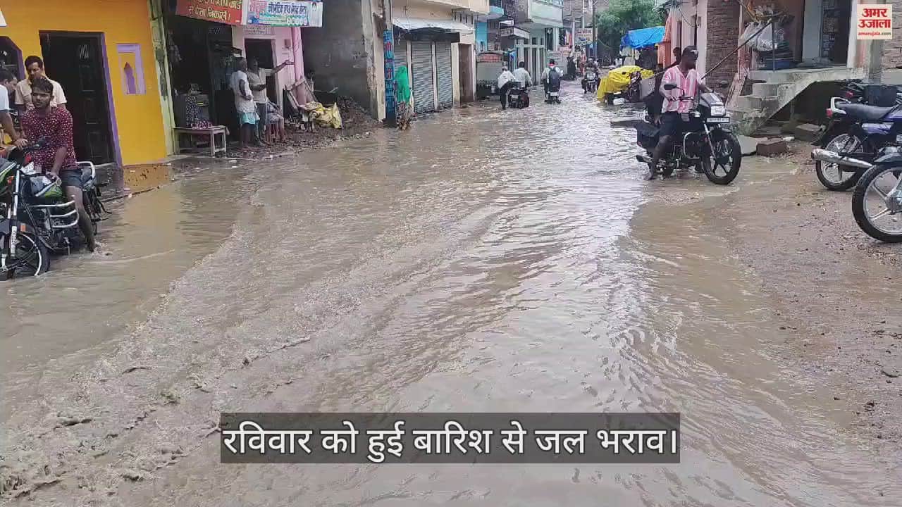 VIDEO : Waterlogging due to rain, damage to arhar and sorghum crops in the fields.