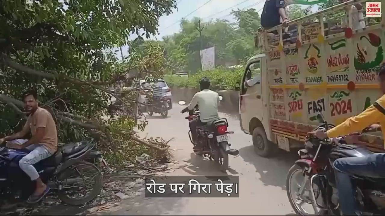VIDEO : एटा शहर में पेड़ बना मुसीबत, राहगीर हो रहे परेशान...सो रहे अधिकारी