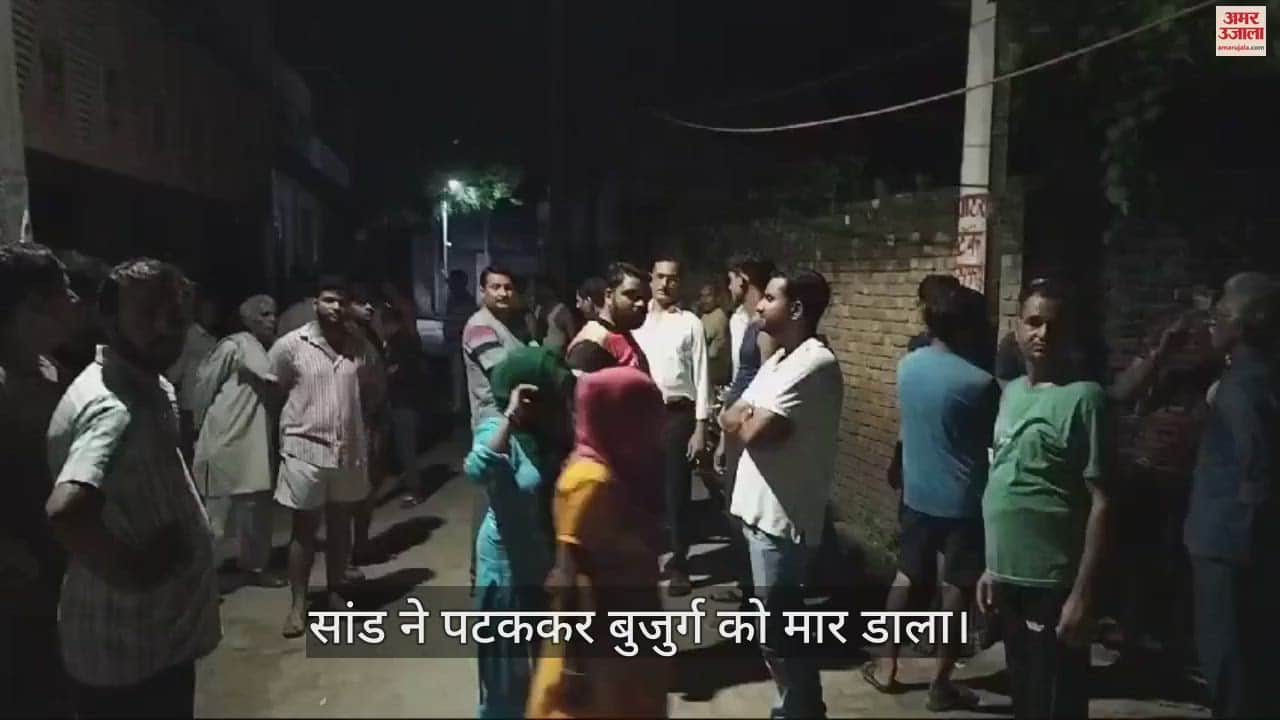 VIDEO : मथुरा में सांड ने पटककर बुजुर्ग को मार डाला, लोगों में आक्रोश