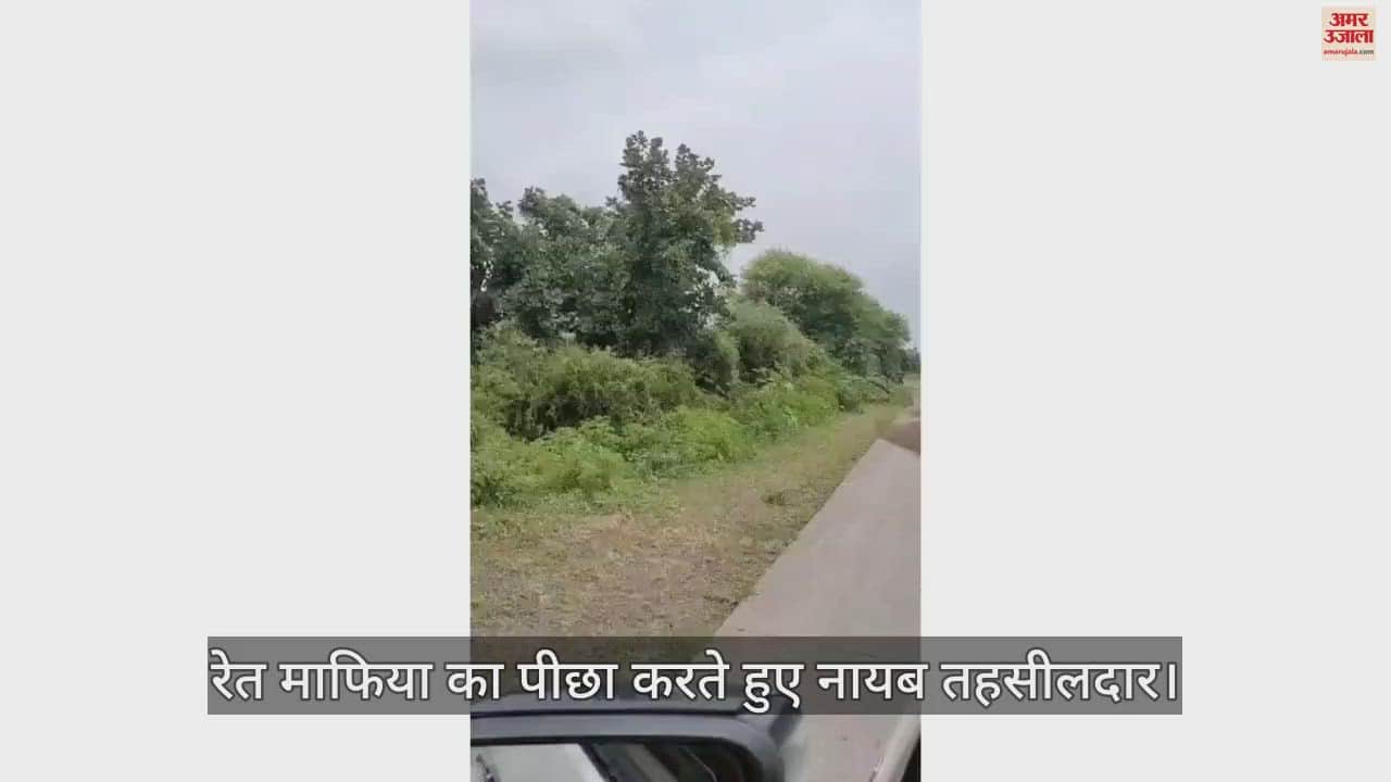 Terror of sand mafia in Rajgarh, hit Naib Tehsildar's vehicle, then gave this threat over phone_watch video.