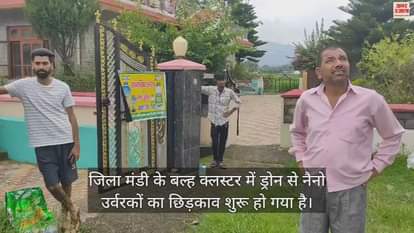VIDEO : Spraying of nano fertilizers started with drones in Balh cluster of Mandi district