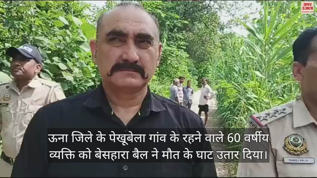 VIDEO : A person from Pekhubela village in Una was killed by a bull