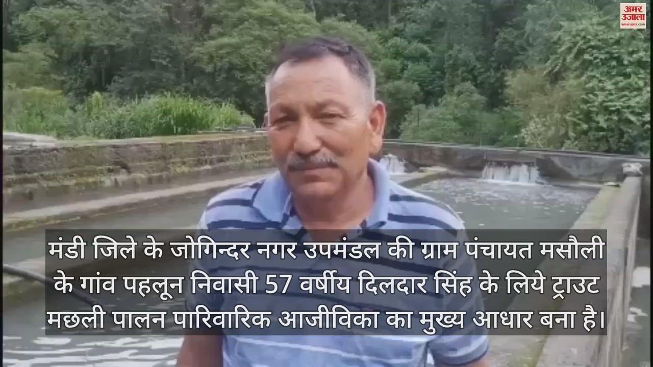 VIDEO : Delhi and Chandigarh are also tasting the rainbow trout prepared at Mandi Dildar Singh fish farm