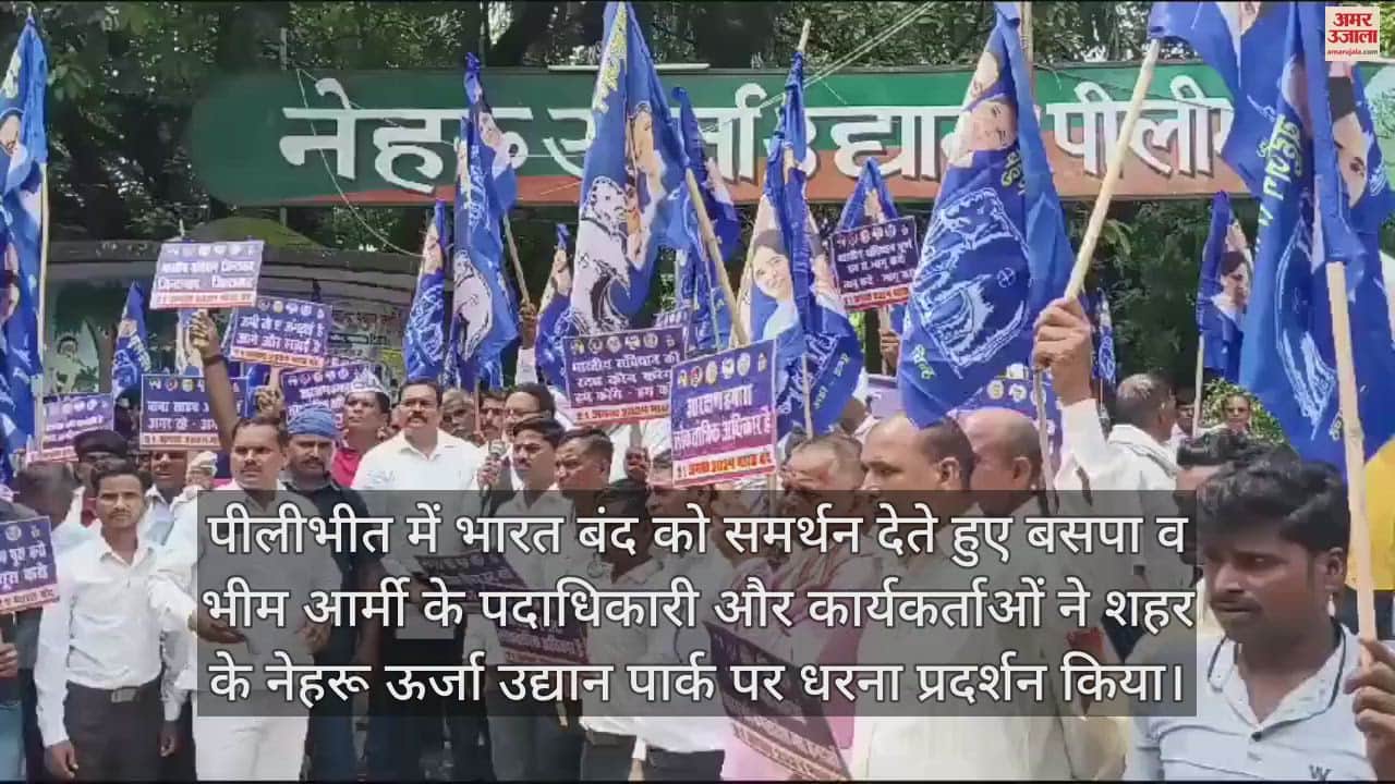 VIDEO : पीलीभीत में बसपा और भीम आर्मी का धरना प्रदर्शन, आरक्षण में उप वर्गीकरण का विरोध
