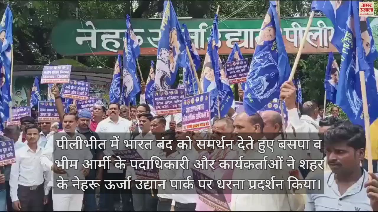 VIDEO : पीलीभीत में बसपा और भीम आर्मी का धरना प्रदर्शन, आरक्षण में उप वर्गीकरण का विरोध