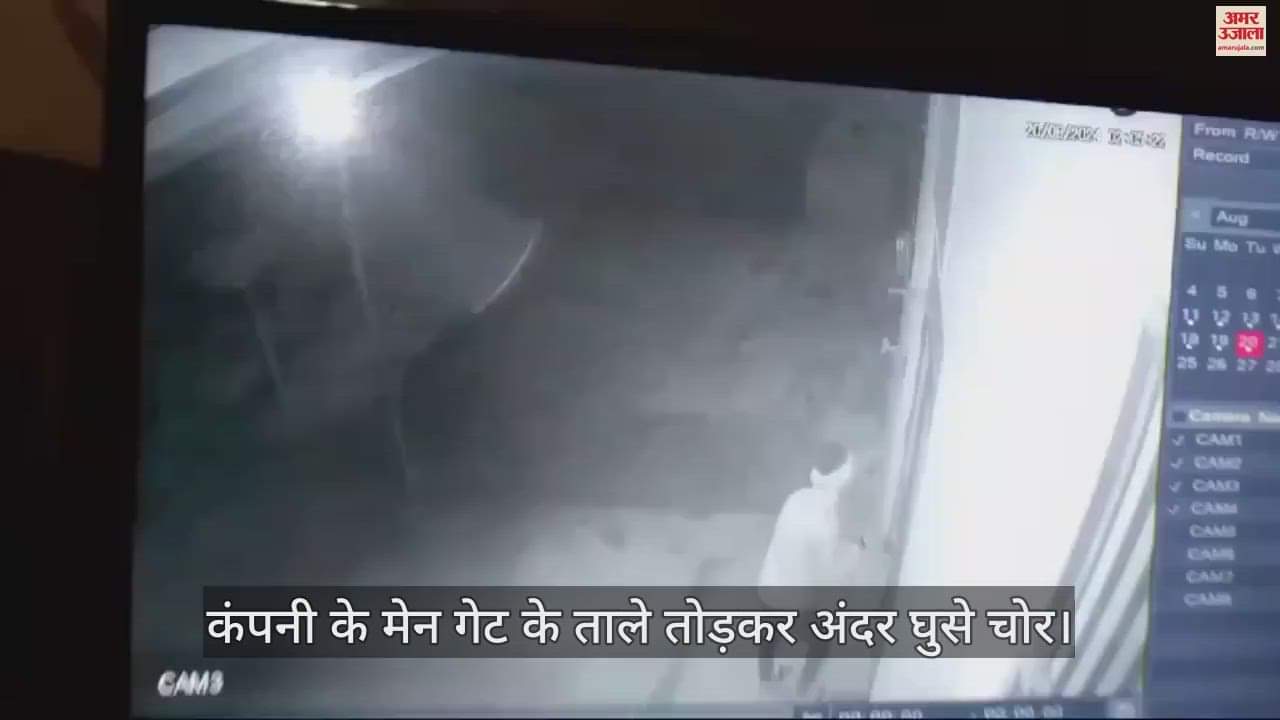 VIDEO : आगरा में कंपनी के मेन गेट के ताले तोड़कर अंदर घुसे चोर, घटना सीसीटीवी में कैद