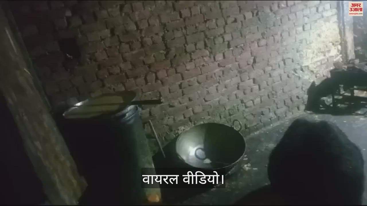 VIDEO : bear enjoyed the famous barfi at the sweet shop located on the Chamba-Chuwari via Jot road