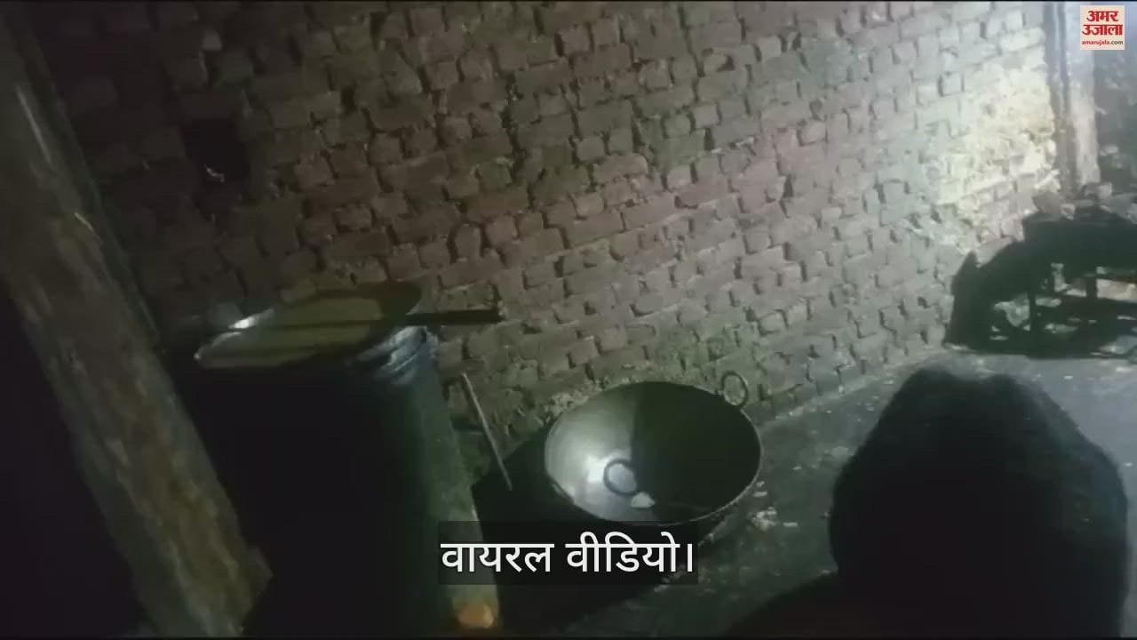 VIDEO : bear enjoyed the famous barfi at the sweet shop located on the Chamba-Chuwari via Jot road
