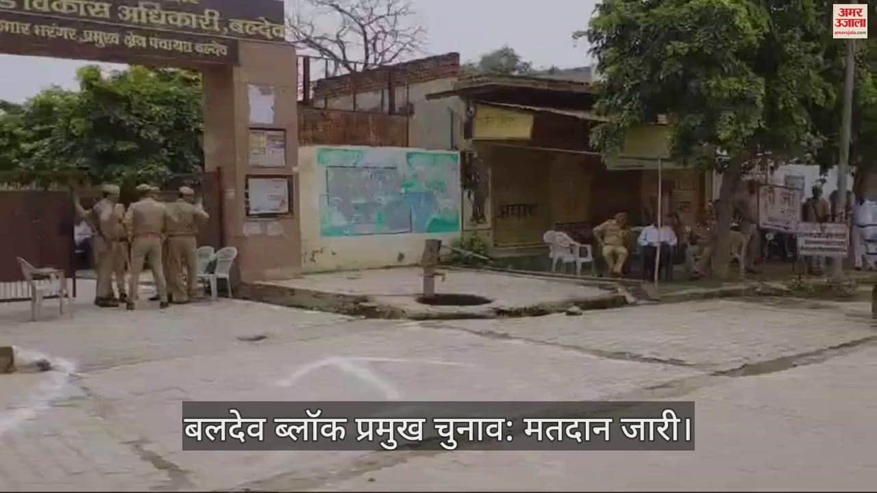 VIDEO : बलदेव ब्लॉक प्रमुख चुनाव: मतदान जारी... दोपहर 1 बजे तक पड़े 90 मत, तीन मत पड़ना शेष