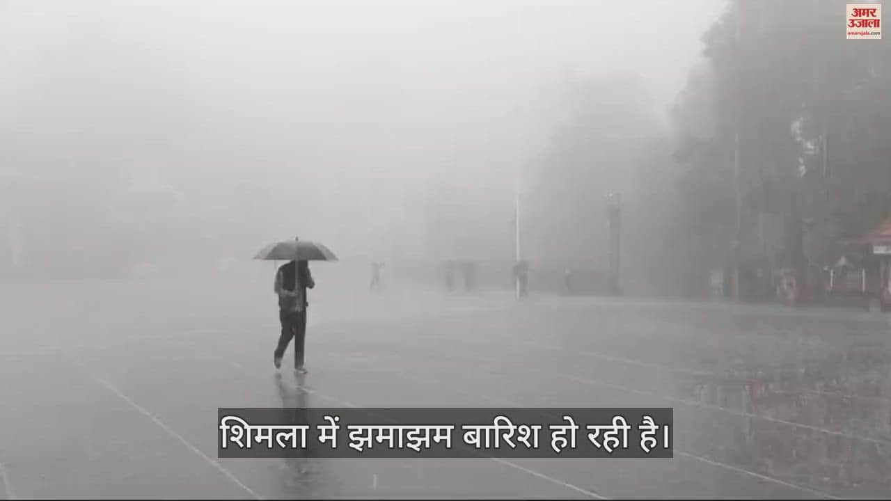 VIDEO : Rain started in Shimla weather became cool