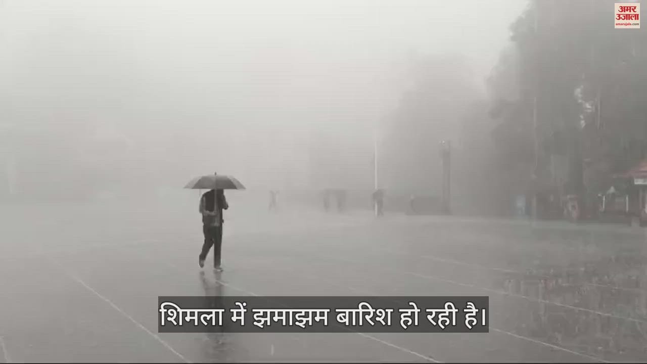 VIDEO : Rain started in Shimla weather became cool