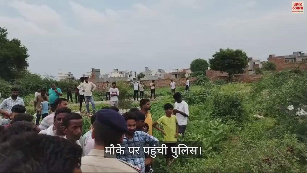 VIDEO : फतेहाबाद में बुजुर्ग का झाड़ियां में मिला शव, दोनों टांगे थी गायब
