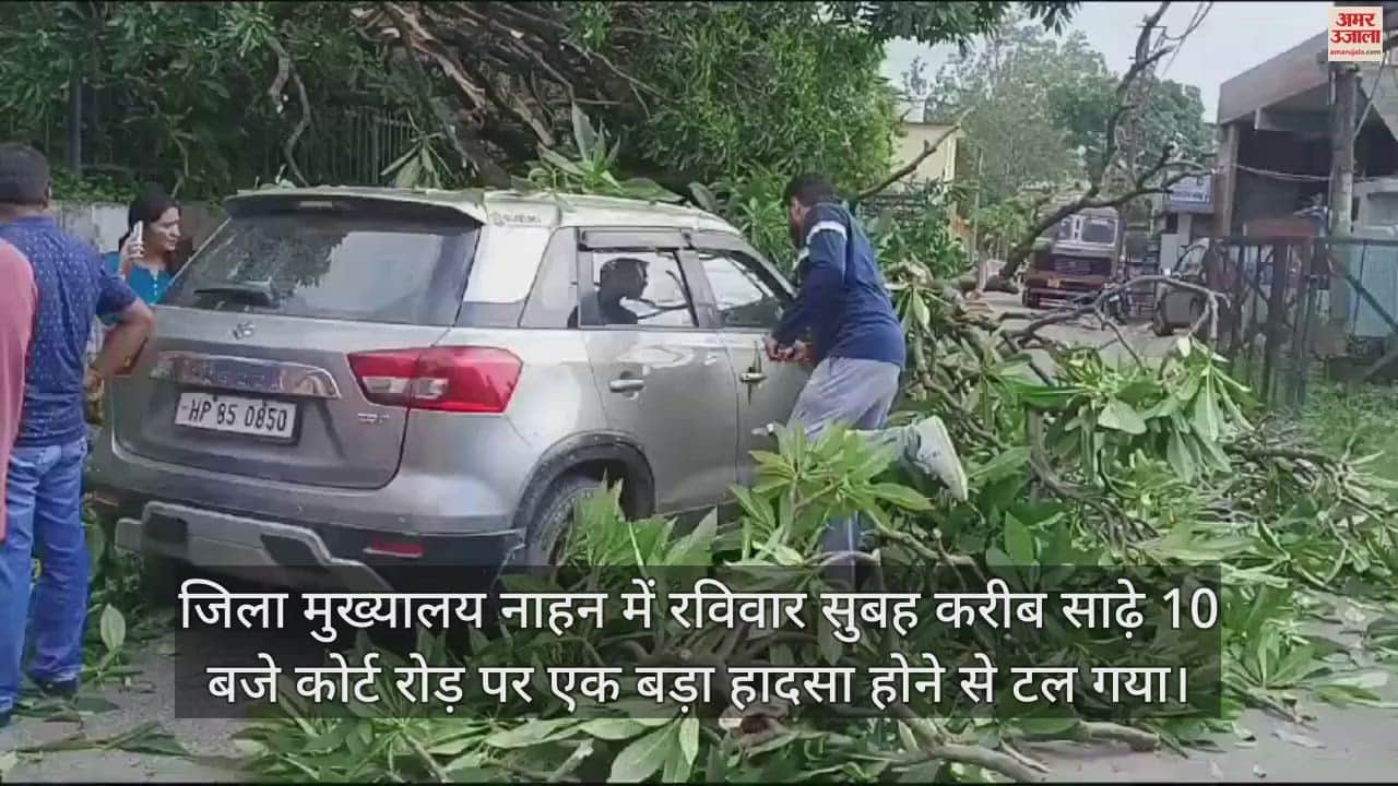 VIDEO : A tree fell on a moving vehicle in Sirmaur father and son in the car narrowly escaped