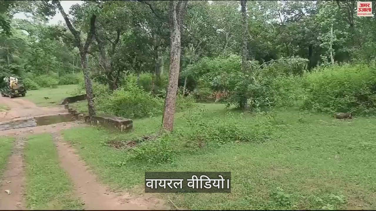 Umaria News Tourists were thrilled to see eight-year-old Tara made a video and shared it