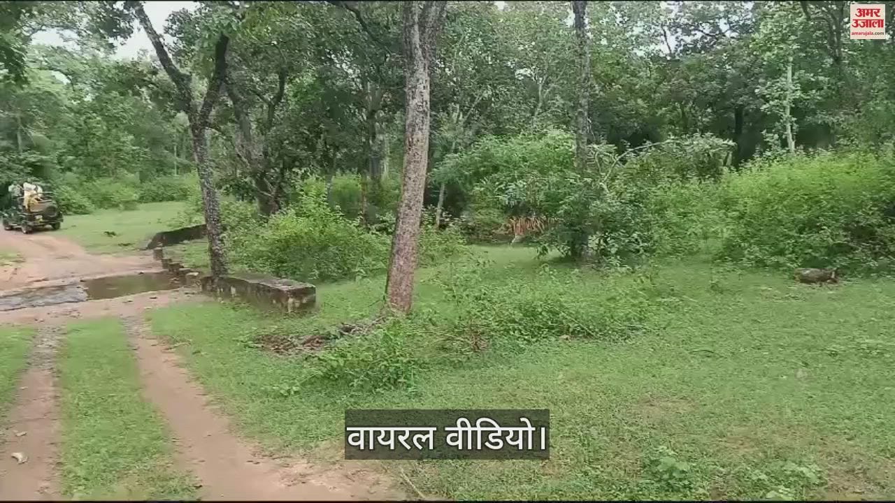 Umaria News Tourists were thrilled to see eight-year-old Tara made a video and shared it