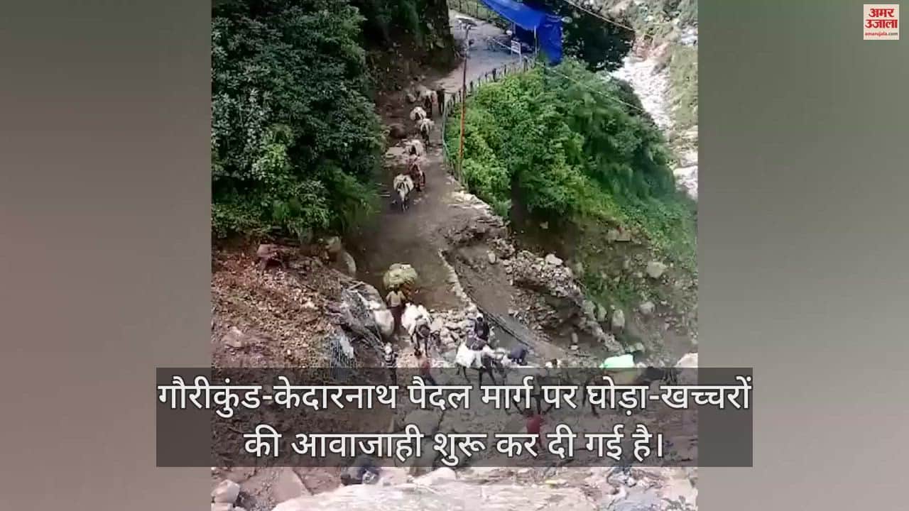 VIDEO : Movement of horses and mules started on Gaurikund-Kedarnath walking route