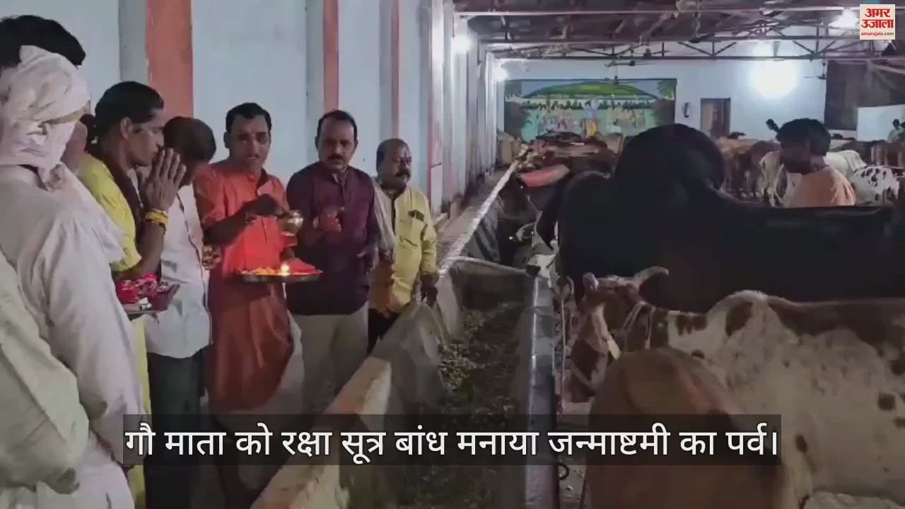 Gau Rakshabandhan celebrated on Janmashtami In Khandwa