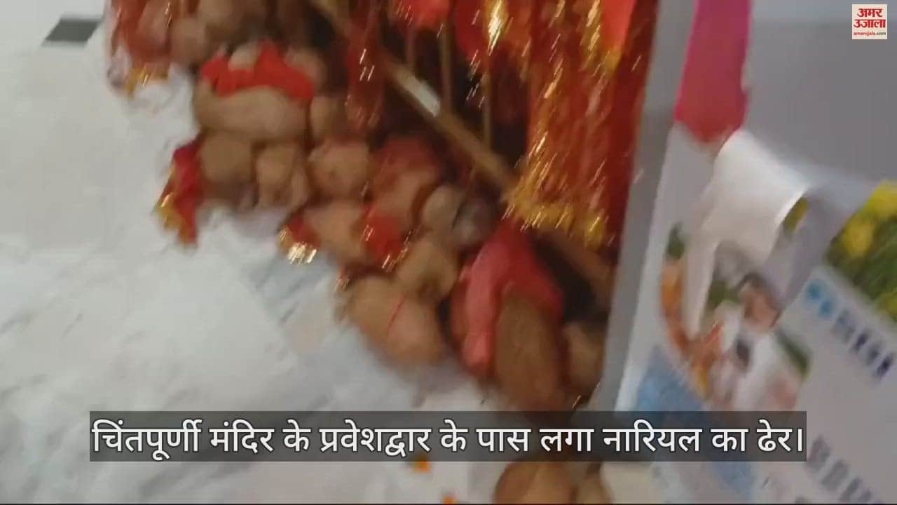 VIDEO : A pile of coconuts placed across the entrance of Chintapurni temple