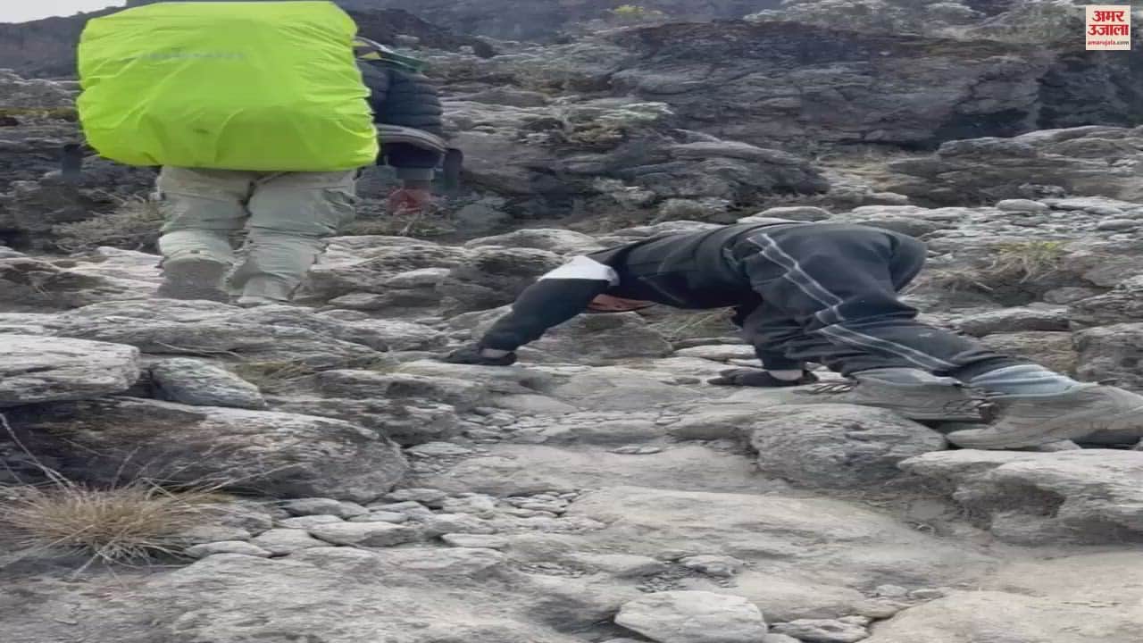 VIDEO : Five Year Old Tegbir Singh Of Ropar Become Youngest Asian To Climb Mount Kilimanjaro