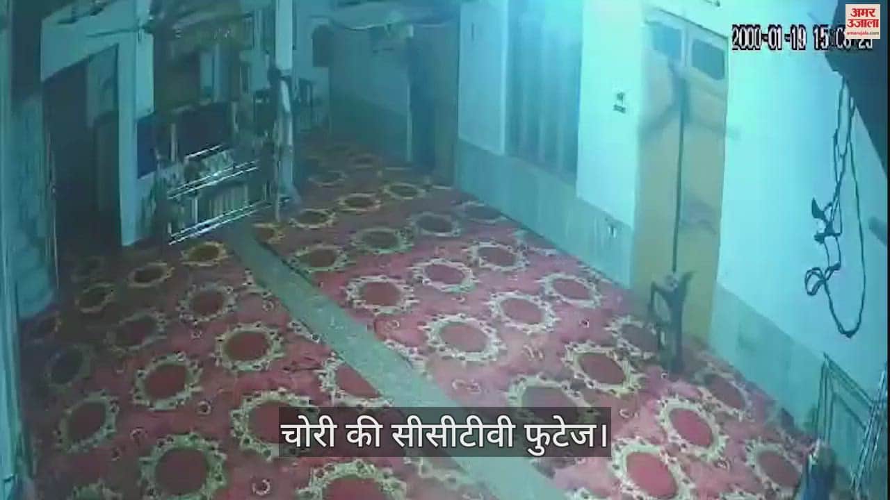 VIDEO : कपूरथला के गुरुद्वारा में चोरी, मुख्य गेट का ताला तोड़ घूसे चोर, गोलक से नकदी चुराई