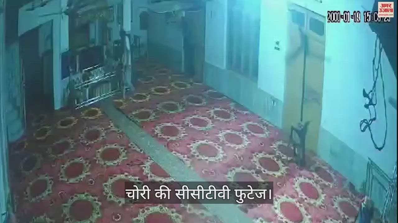 VIDEO : कपूरथला के गुरुद्वारा में चोरी, मुख्य गेट का ताला तोड़ घूसे चोर, गोलक से नकदी चुराई