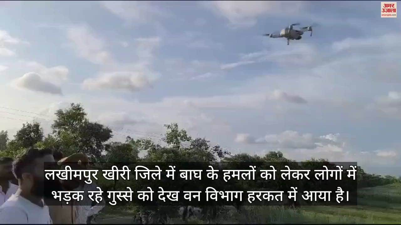 ड्रोन कैमरा से बाघ की निगरानी