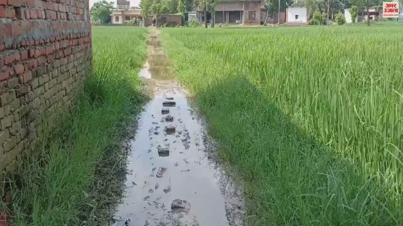 VIDEO : Villagers settled for decades way to commute in chandauli waterlogging increased the trouble