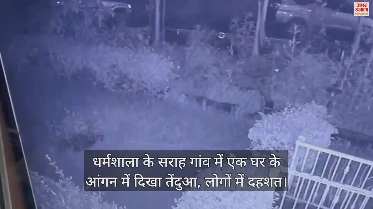 VIDEO : Leopard seen in the courtyard of a house in Sarah village of Dharamshala, panic among people