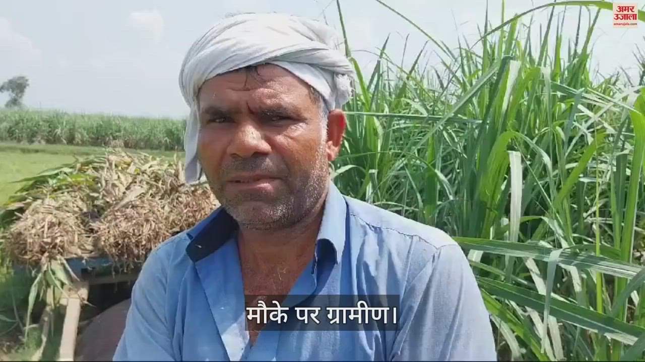 VIDEO : Accident in Baghpat, electric wire broke and fell, farmer couple burnt, buffalo died