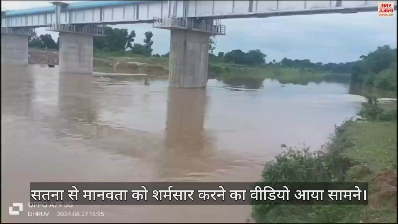 VIDEO : Satna Video Viral Youth Pushes Cows In Tamas River Madhya Pradesh