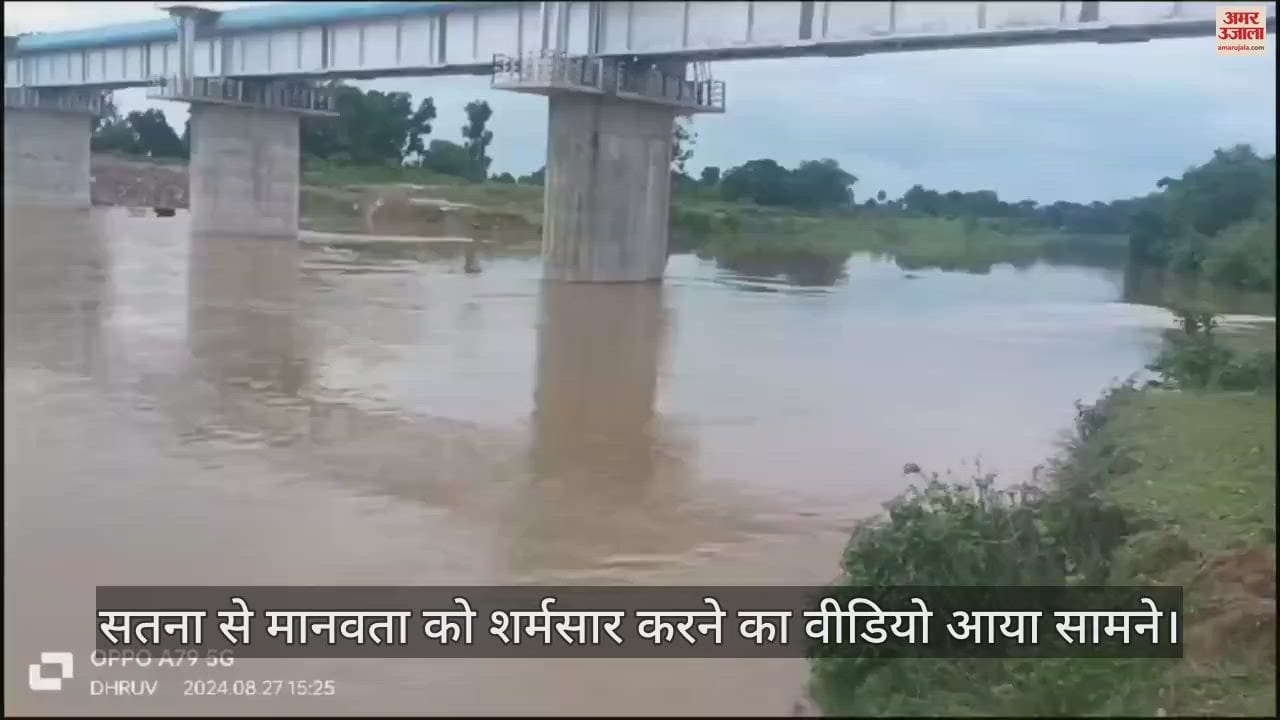 VIDEO : Satna Video Viral Youth Pushes Cows In Tamas River Madhya Pradesh