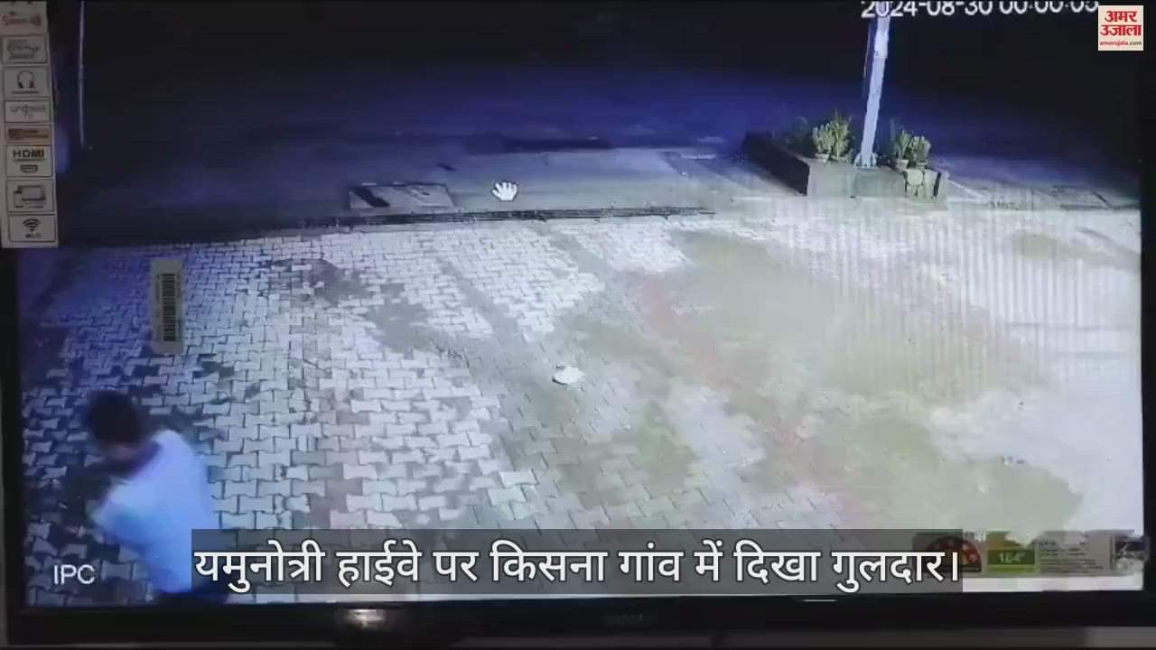VIDEO : Leopard seen roaming on Yamunotri Highway, CCTV footage revealed