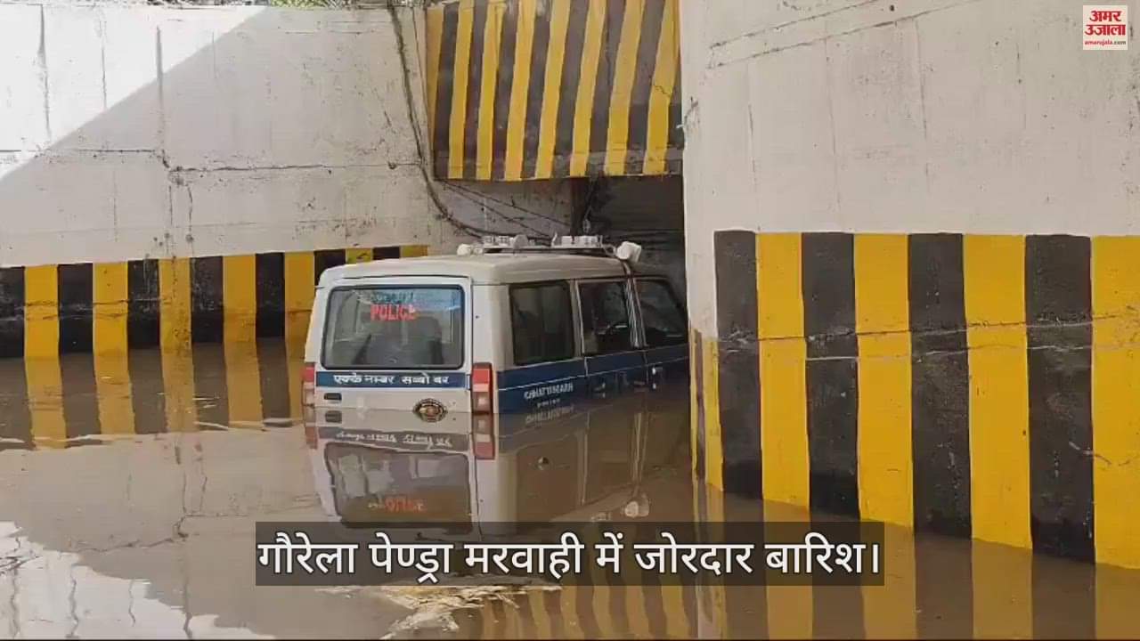 VIDEO : गौरेला पेण्ड्रा मरवाही में जोरदार बारिश से जलभराव, यातायात बाधित, देखें