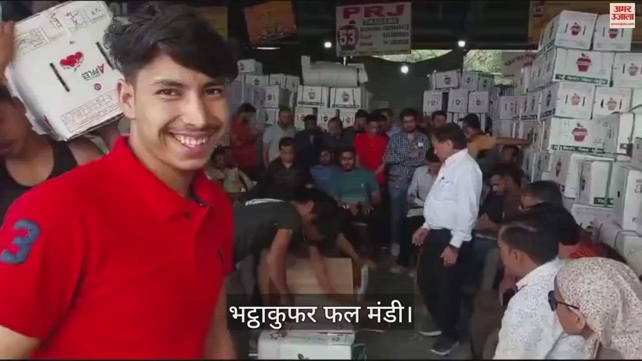 VIDEO : arrival of apples increased in Bhattakufar fruit market Royal Apple sold from 2 thousand to 2400 rupees