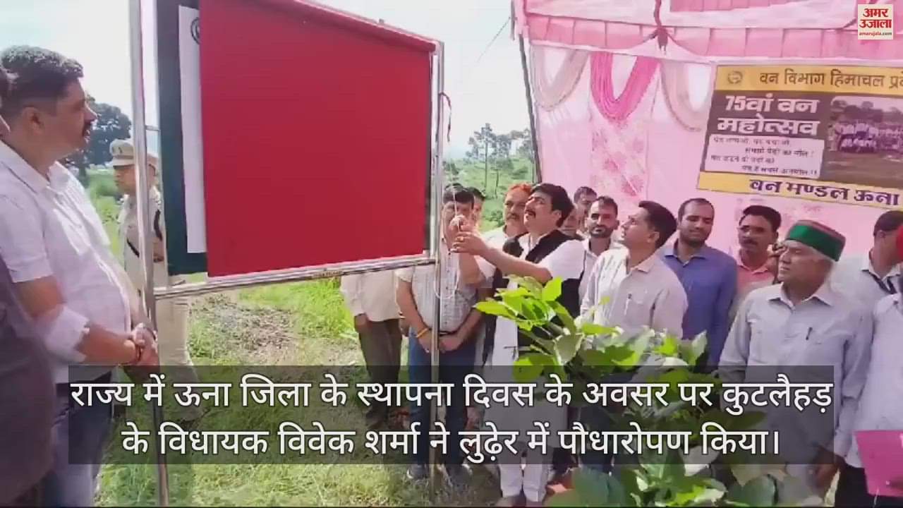 VIDEO : Kutlahad MLA Vivek Sharma said-100 saplings will be planted in every panchayat