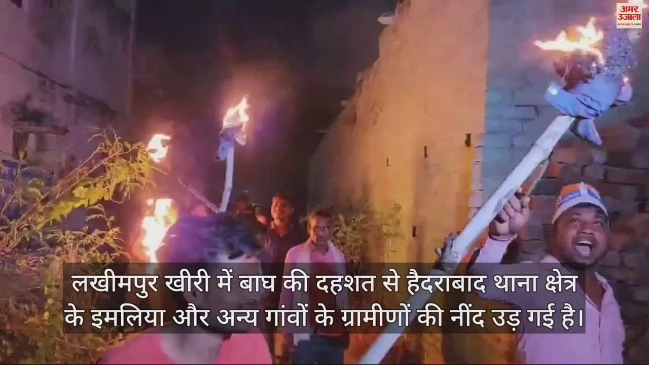 VIDEO : लखीमपुर खीरी में बाघ का खौफ... मशाल और लाठी-डंडे लेकर पहरेदारी कर रहे ग्रामीण